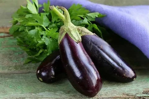 تصویر 2 از خرید و قیمت بادمجان سیاه بزرگ + فروش عمده
